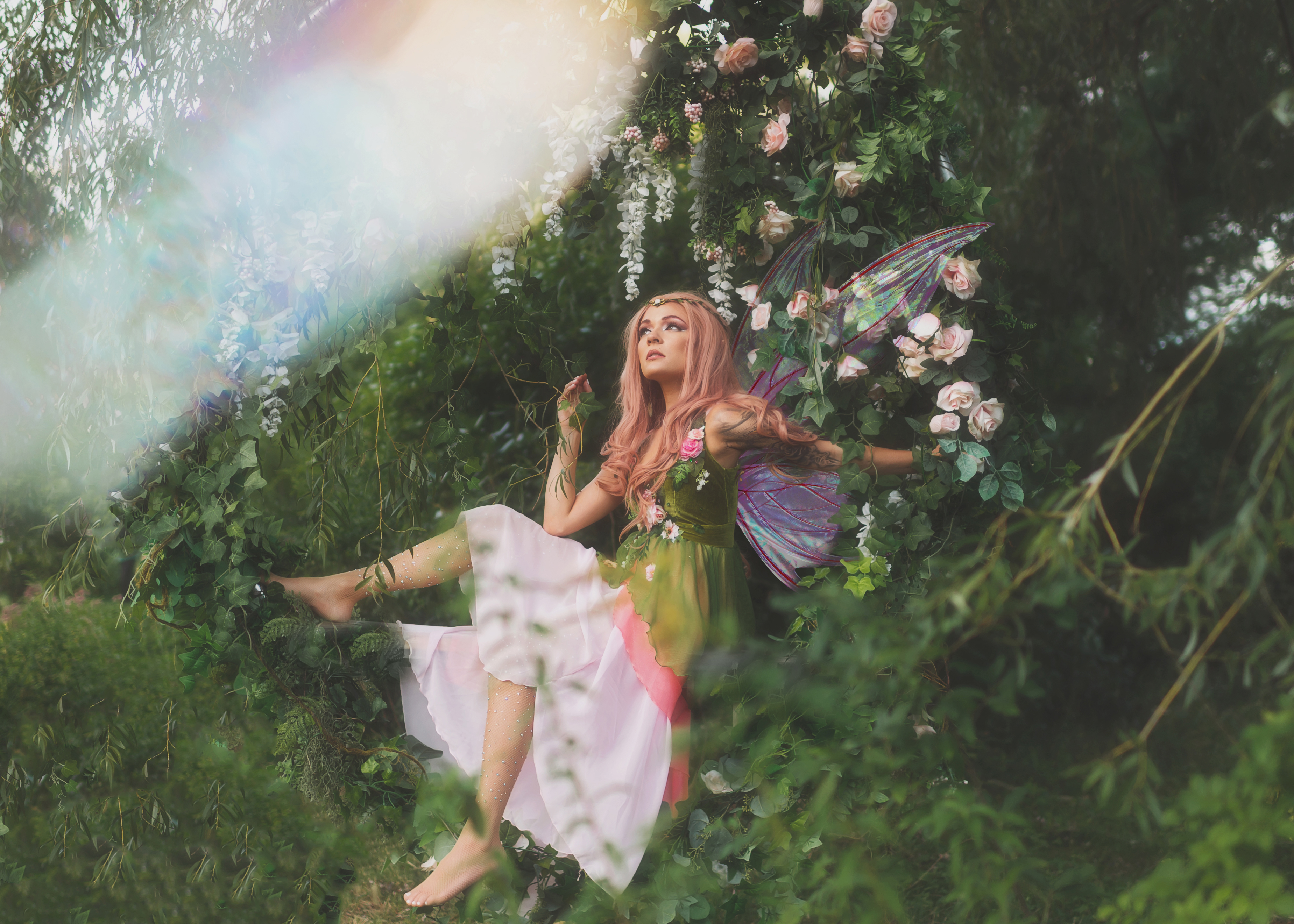 Pink Fairy 2020, photo 001