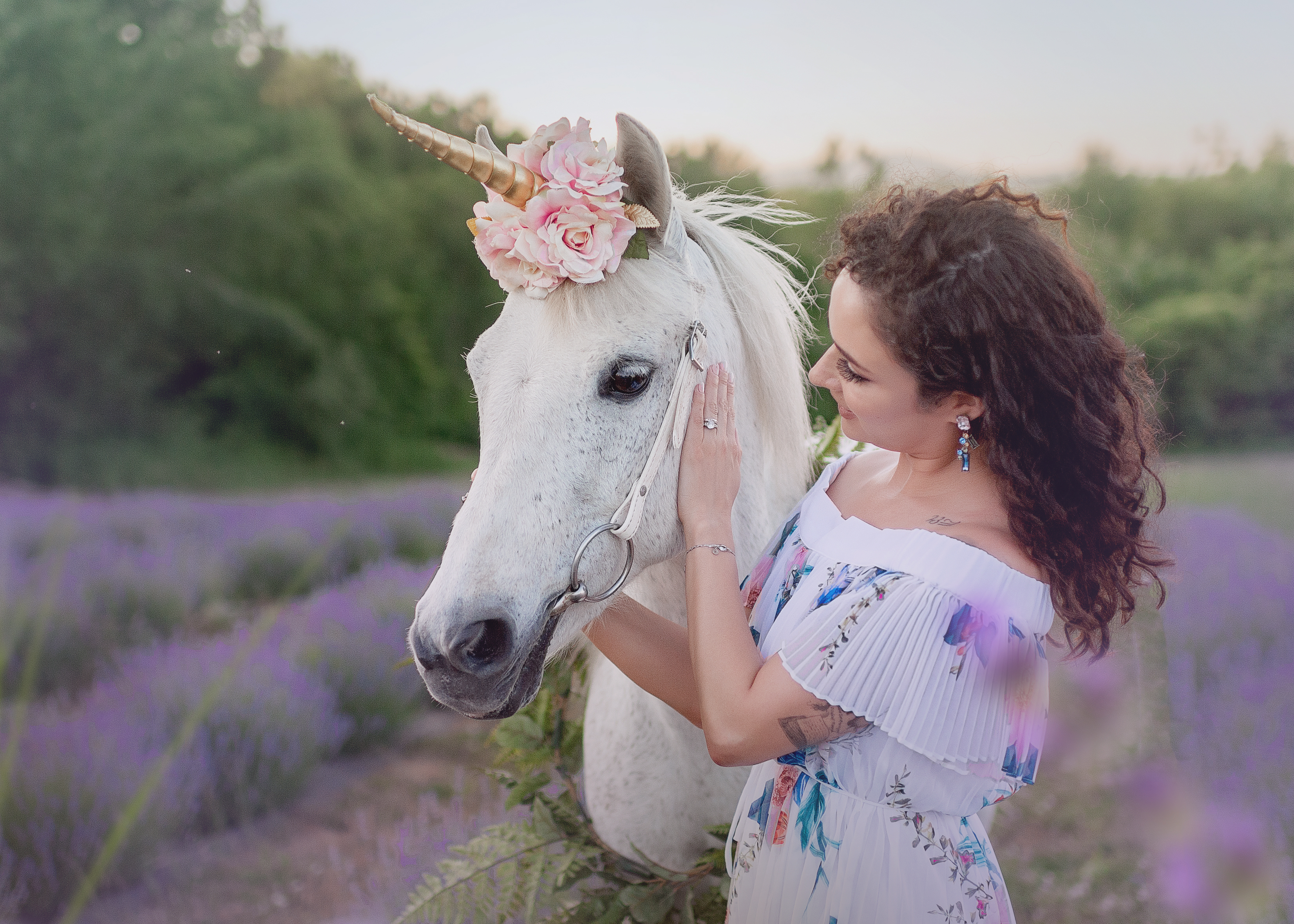 Lavendar Farm, photo 032