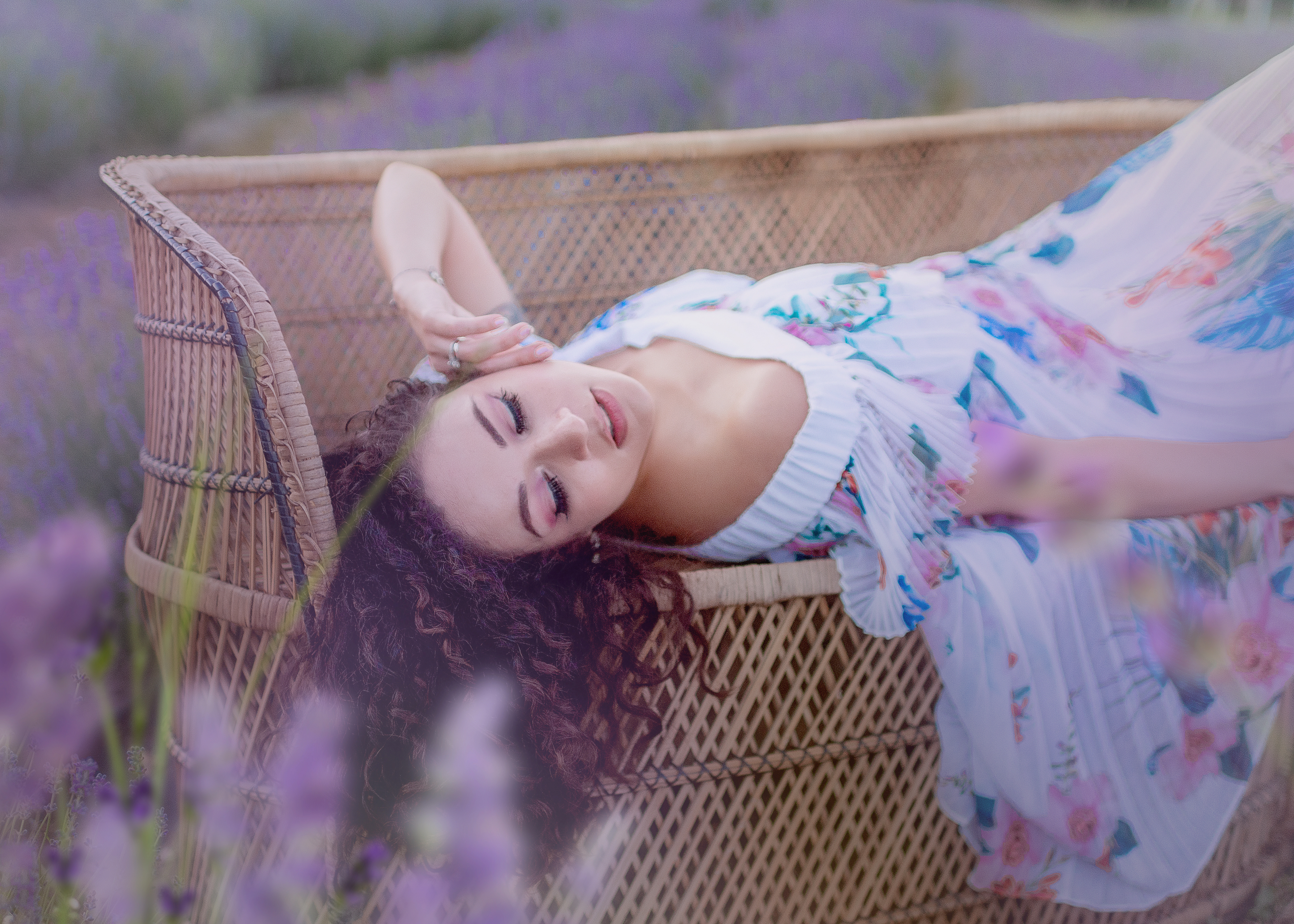 Lavender Farm, photo 077